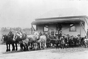 Как век назад с помощью лошадей перемещали целые города ❘ фото