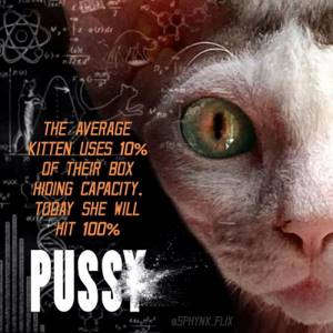 Пародийные постеры фильмов с кошками-сфинксами в главной роли