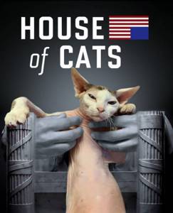 Пародийные постеры фильмов с кошками-сфинксами в главной роли