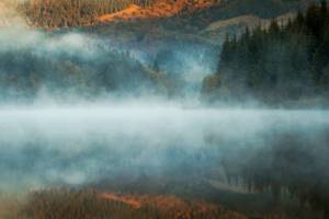 Лучшие снимки с конкурса «Nature Photographer of the Year» 2019