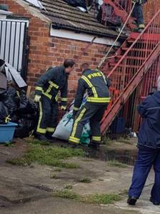 Пожарные помогли вытащить домашнюю свинью весом 190 кг из квартиры