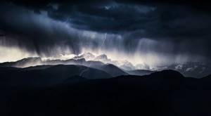 Лучшие снимки с конкурса «Nature Photographer of the Year» 2019