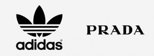 Крупная коллаборация: Prada и Adidas выпустят совместную коллекцию обуви