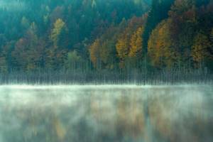 Лучшие снимки с конкурса «Nature Photographer of the Year» 2019