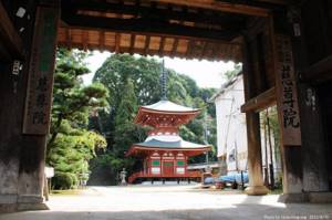 В Японии существует храм, посвященный женской груди