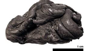 Датские учёные восстановили образ женщины, жившей 5700 лет назад, по куску смолы, который она жевала