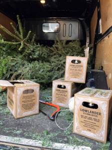 В Амстердаме выпустили рождественское пиво из выброшенных прошлогодних елок