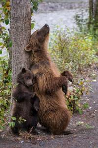 Опубликованы лучшие фото конкурса WPY 2019