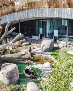 Дом-вольер для панд в Копенгагенском зоопарке