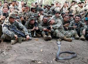 Ежегодные военные учения «Cobra Gold» в Таиланде