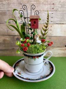 Креативные маленькие садики в чашках и чайниках
