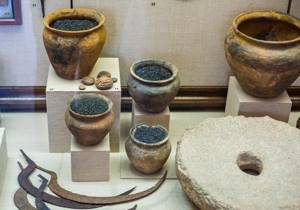 
        Благодаря посуде, ученые узнали вкусовые предпочтения древних людей            
