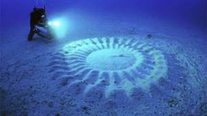 На дне морей есть загадочные круги: что это такое?