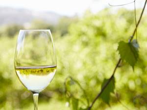 Зеленое вино: что такое Vinho Verde и почему оно такое редкое (у нас)