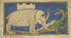 Забавные животные глазами средневековых художников