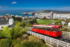 Путешествие по Новой Зеландии на снимках