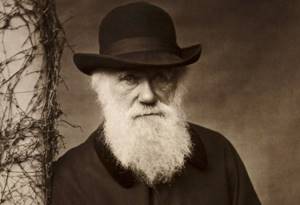 Что Чарлз Дарвин писал в своих записных книжках и где они хранятся?