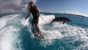 Видео: Сёрфингист плавает под водой с дельфином