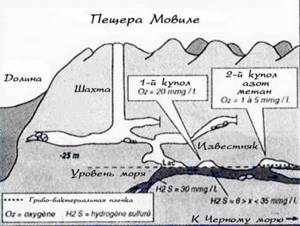 Из-за чего румынская пещера Мовиле считается ядовитой?