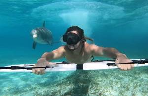 Видео: Сёрфингист плавает под водой с дельфином