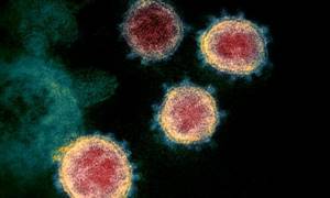 Эффективны ли вакцины против нового штамма коронавируса?