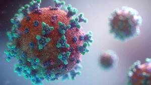 Эффективны ли вакцины против нового штамма коронавируса?
