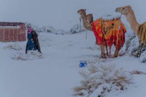 Снег выпал в пустыне Сахара и в Саудовской Аравии