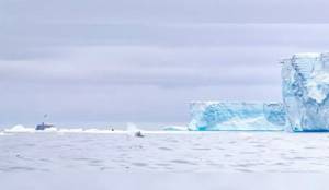 Самый большой айсберг в мире угрожал жизни животных. Что с ним стало теперь?