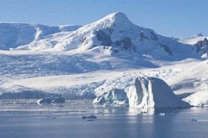 
        Под шельфовым ледником Антарктиды нашли странных существ            