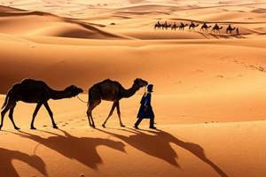 
        Превращение Сахары в пустыню связали с колебаниями земной орбиты            
