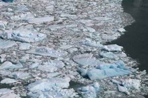 
        Глобальные потери льда на Земле оценили в 28 трлн тонн            