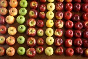 
        Цвет яблок влияет на их полезные свойства            