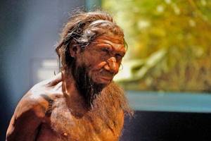 
        Неандертальцы исчезли раньше, чем думали учёные            