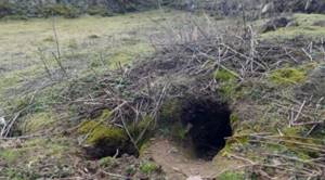 На крошечном острове найдены личные вещи древних людей. Их раскопали кролики