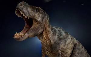 Сколько всего опасных динозавров жило на Земле за всю историю?