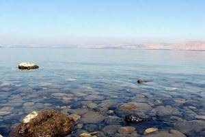 
        Круглый рукотворный объект найден на дне Галилейского моря            