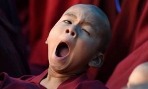 Почему люди зевают? Есть несколько интересных теорий