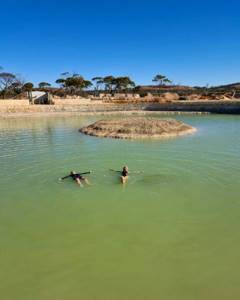 Австралийский бирюзовый пруд, в котором невозможно утонуть