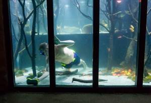 Британец, который ненавидит телевизор, потратил 20 000 фунтов, превратив дом в гигантский аквариум