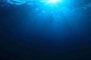 
        Гигантские "зоны смерти" в океане            
