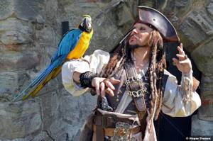 Для чего на самом деле пираты заводили попугаев