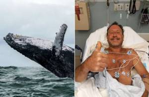 В США мужчина был проглочен китом. Как ему удалось выжить?