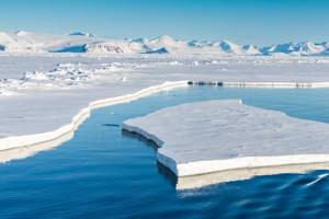 
        Морской лед в Арктике тает вдвое быстрее, чем считалось            