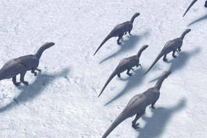 
        В Арктике круглый год жили динозавры            