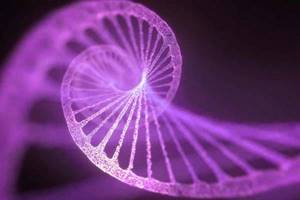 
        В почве найдены фрагменты ДНК неизвестного происхождения            
