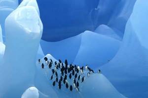 
        Активные озера под ледниками Антарктиды            