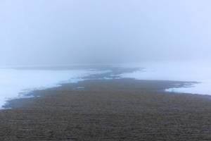 
        У берегов Гренландии открыт самый северный остров в мире            