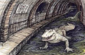 В канализации Нью-Йорка живут крокодилы: правда ли это?