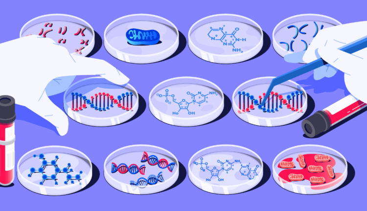 Что такое тест ДНК, как его делают и для чего он нужен?