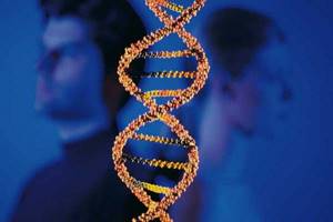 
        Расшифровка истории человечества с помощью древней ДНК            